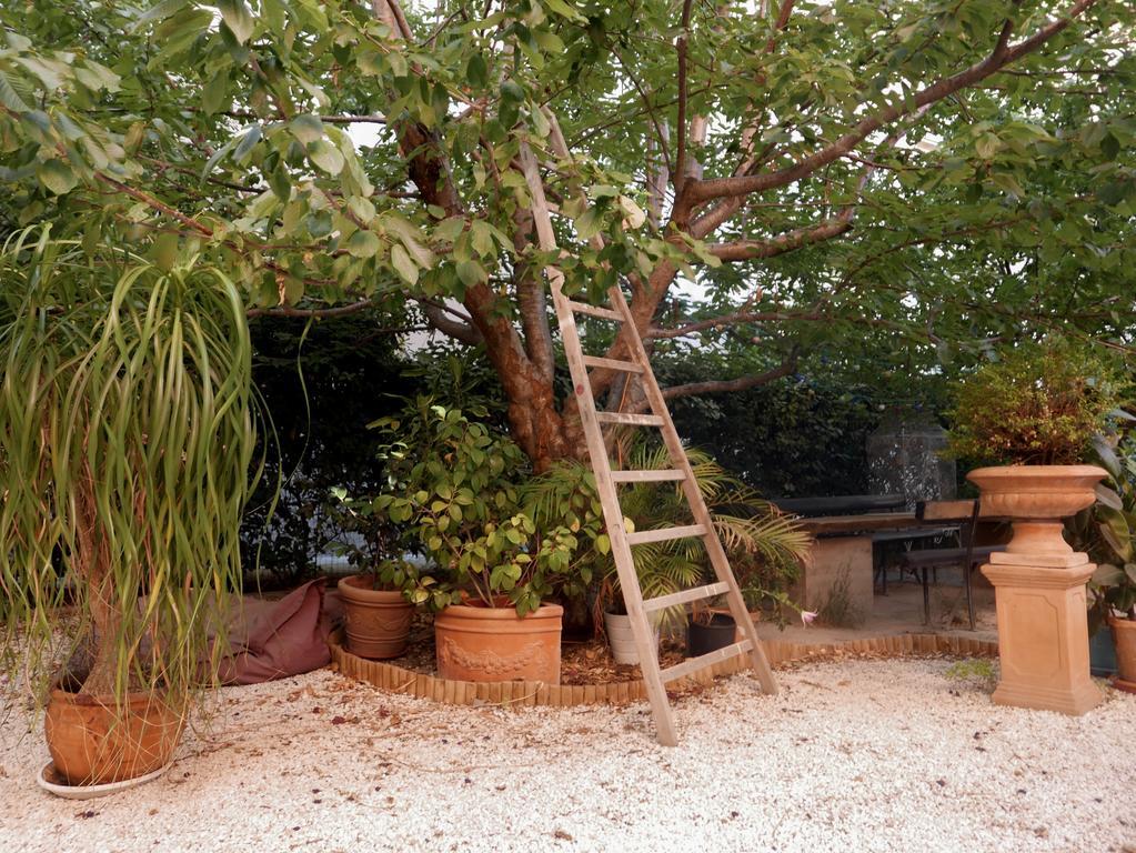 Vieux Port Panier Jardin Marselha Exterior foto