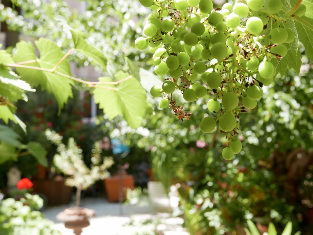 Vieux Port Panier Jardin Marselha Exterior foto